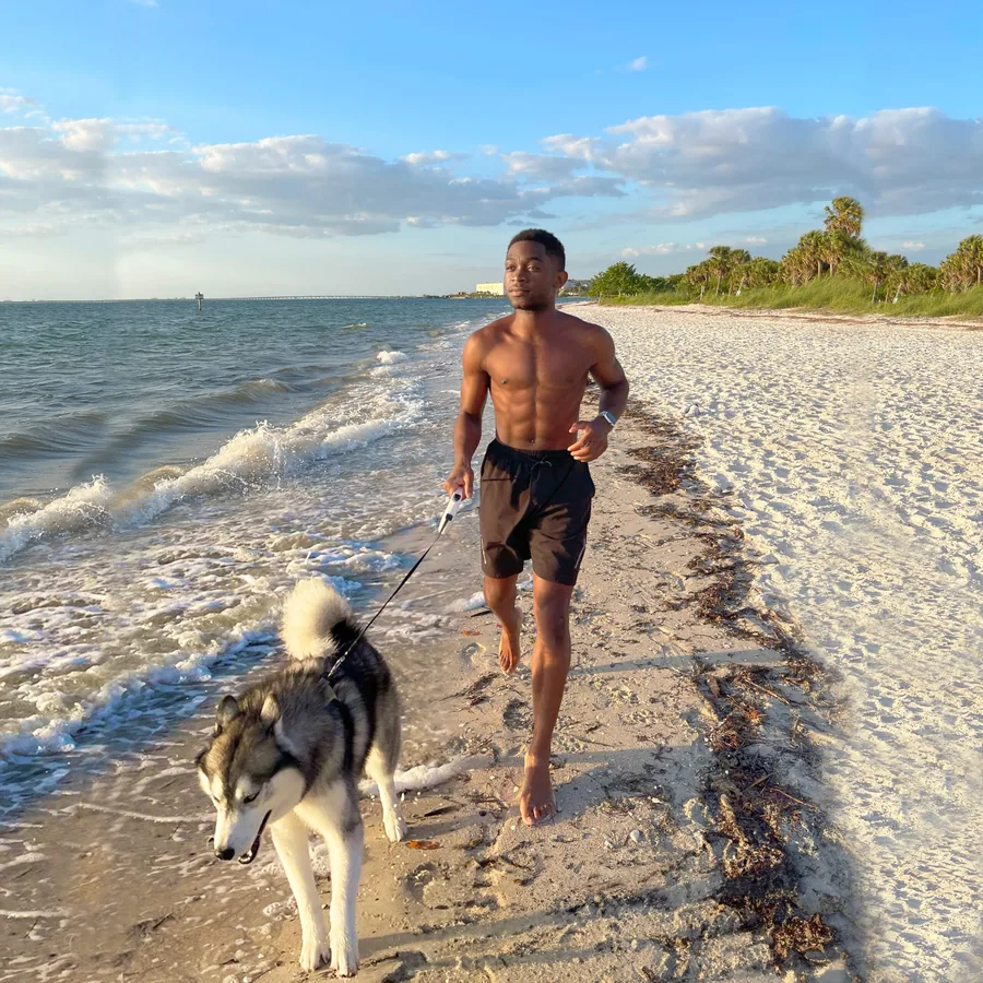 A person and a dog walking along the shoreline.